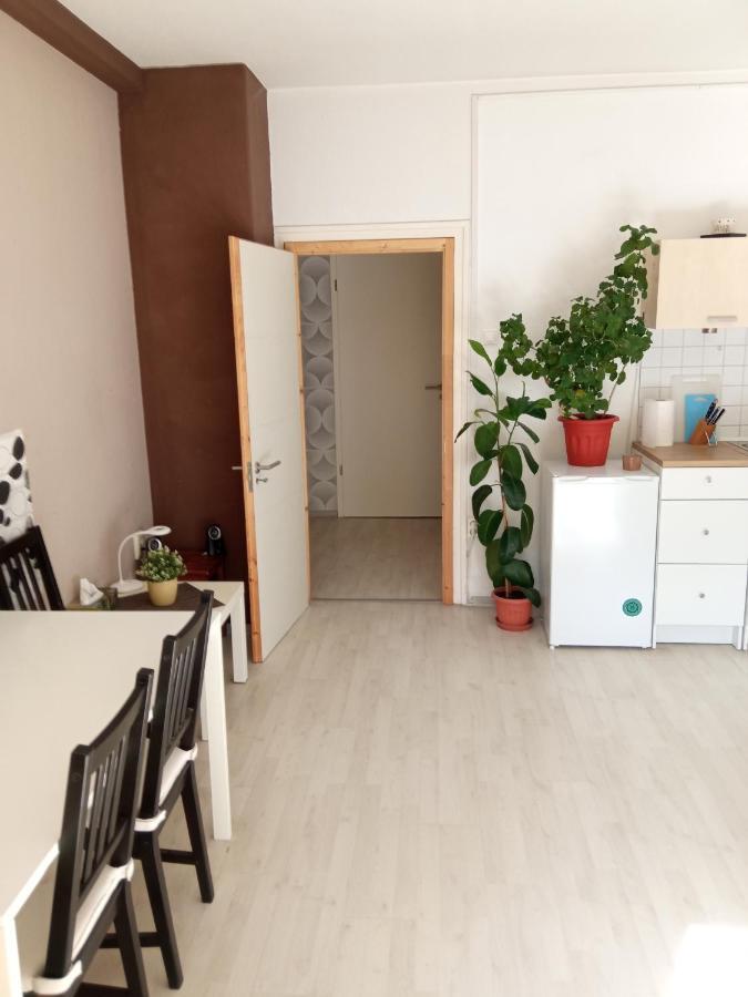 Free Parking, Balcony, Near To City Park Будапеща Екстериор снимка