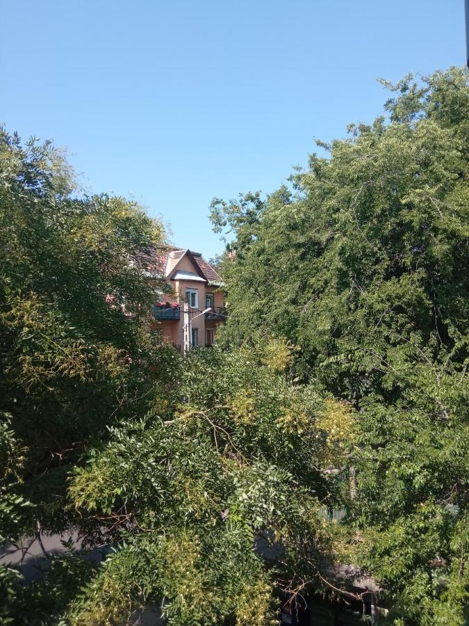 Free Parking, Balcony, Near To City Park Будапеща Екстериор снимка