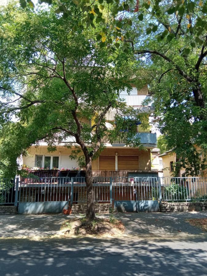 Free Parking, Balcony, Near To City Park Будапеща Екстериор снимка